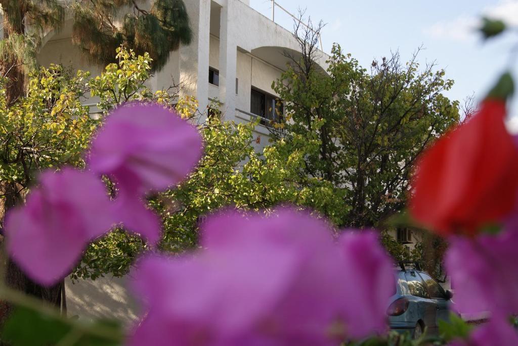 Thalassa Studios Faliraki Dış mekan fotoğraf
