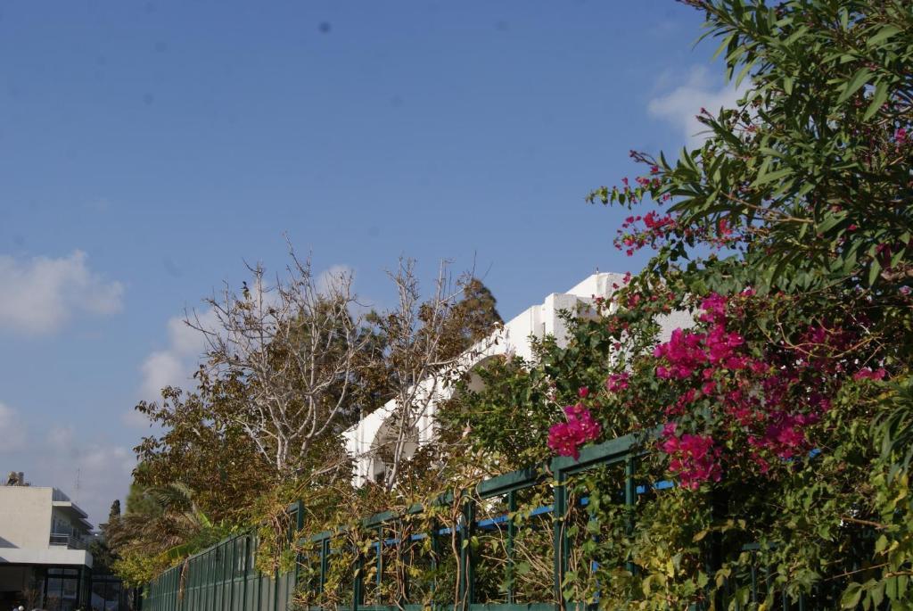 Thalassa Studios Faliraki Dış mekan fotoğraf