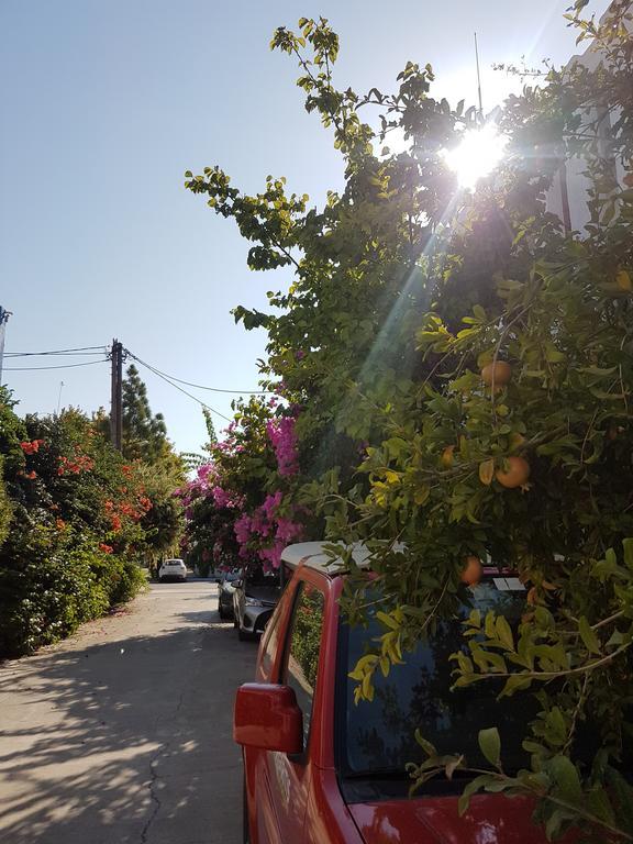 Thalassa Studios Faliraki Dış mekan fotoğraf