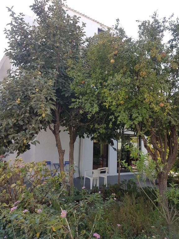 Thalassa Studios Faliraki Dış mekan fotoğraf
