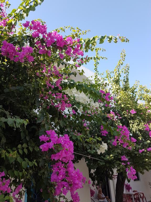 Thalassa Studios Faliraki Dış mekan fotoğraf