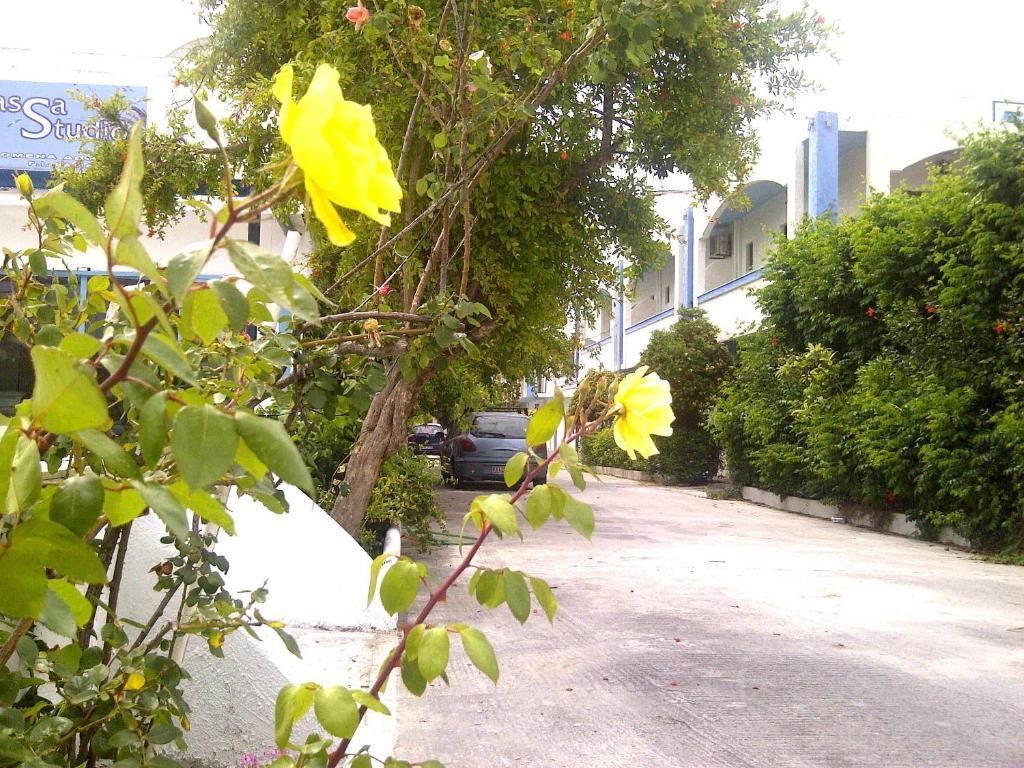 Thalassa Studios Faliraki Dış mekan fotoğraf