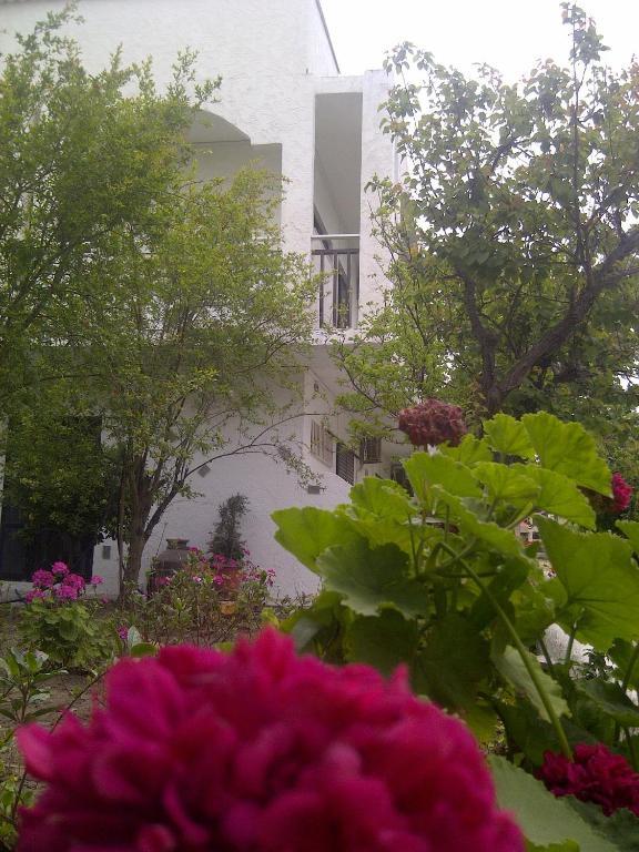 Thalassa Studios Faliraki Dış mekan fotoğraf